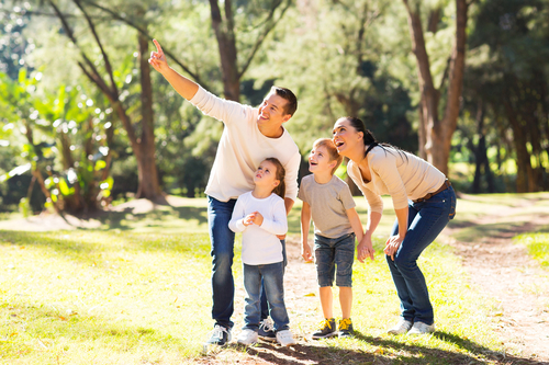 The First Day of Spring is March 19! Visit These Local Parks For The Season